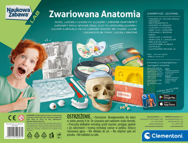 Anatomia