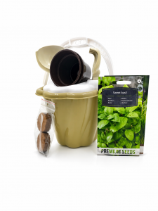 ZESTAW OGRODNICZY - BAZYLIA, TRAWA DLA KOTA