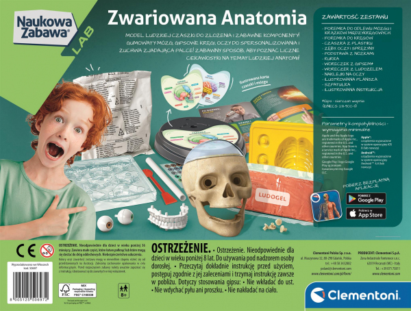 Anatomia