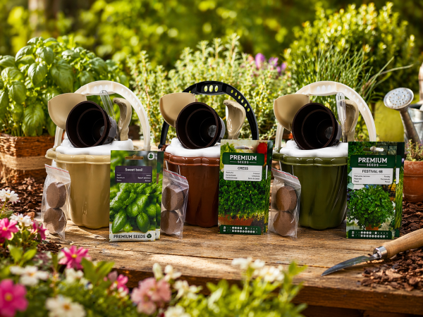 ZESTAW OGRODNICZY - BAZYLIA, TRAWA DLA KOTA