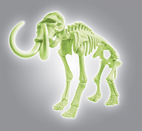 Skamieniałości - Mamut fluorescencyjne